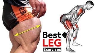 10 MIN LEG WORKOUT Exercises  Thighs Booty hamstringQuadriceps [upl. by Hirsh]