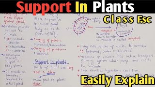 Introduction Support And Movement  Support In Plants  Class 12 Biology [upl. by Alesi501]