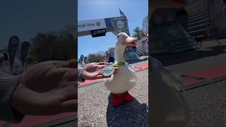 Wrinkle Duck Beat many people in racing 🥰☺️ [upl. by Attenauqa]