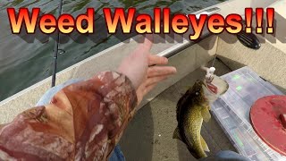 Walleye Fishing – Surefire Techniques For Catching Walleye In The Weeds [upl. by Rawdin]