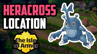 How to Catch Heracross  Pokemon Sword amp Shield DLC [upl. by Nitza]