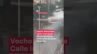 Vocho atraviesa inundación mientras otros vehículos quedan varados  N Shorts [upl. by Arracat32]