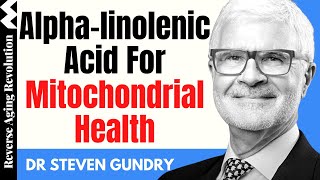 The Unexpected Health Benefits Of Alphalinolenic Acid  Dr Steven Gundry Interview Clips [upl. by Federica327]