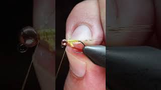 A Simple Yellow Olive Biot Nymph Fly flytying flyfishinglife shorts flyingbeast [upl. by Ettinger]