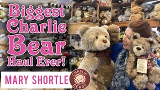 Biggest Charlie Bear Haul Ever [upl. by Cornia]