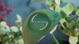 Thrive 061 Release Trailer [upl. by Akimehs]