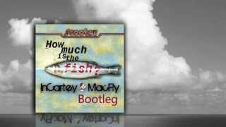 Scooter  How Much Is The Fish  InCartey amp MacFly Bootleg [upl. by Kirst]