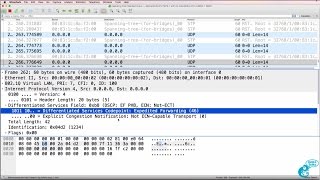 GNS3 Talks Ostinato Wireshark Captures Part 4 Generate packets with COS and DSCP settings [upl. by Avik]