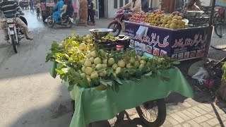 Amrood Laga Liye 😊  Amrood Ke Bagh Gaye 😍  Guava Garden ❤  amrood guava garden bagh  377 [upl. by Atikkin]