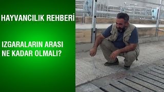 Hayvancılık Rehberi  Izgaraların Arası Ne Kadar Olmalı [upl. by Politi320]