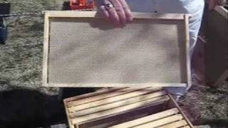 Starting a New Bee Hive [upl. by Bengt]