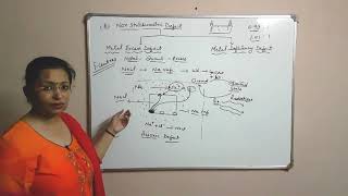 Class 12ChemistryChapter 1 solid state non stoichiometric Defects class 12th [upl. by Atiuqan466]