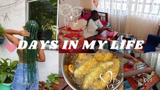 Days In My Life Vlog Braids Hairstyle  Samosa Recipe Makeup  Home Visit Kenya vlog [upl. by Thant219]