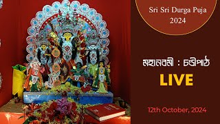 মহানবমী  চণ্ডীপাঠ  LIVE  Cardboard Durga Puja 2024  Sayans art zone [upl. by Jed]