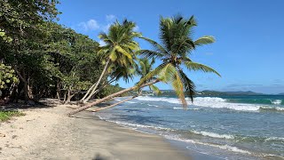 Martinique  Blue wonder of the Caribbean Martynika Karaiby Karibik [upl. by Mallis42]