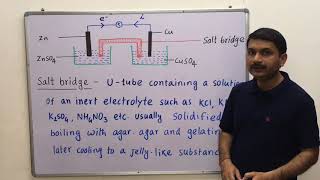 31Electrochemical cell  Galvanic Cell  Voltaic Cell and Salt bridge class 12th electrochemistr [upl. by Audry]