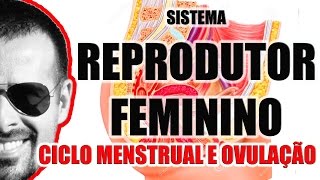 Ciclo Menstrual menstruação e Ovulação  Sistema Reprodutor Feminino  VideoAula 050 [upl. by Llerref]