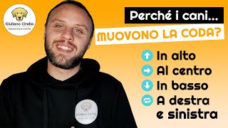 🐶 Perché i Cani Muovono la Coda 4 Movimenti  Significati  Giuliano Addestratore [upl. by Dorthea]