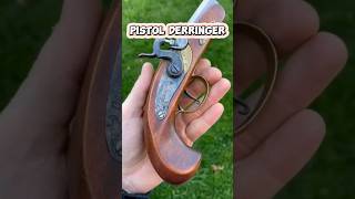 Sejarah Pistol Derringer fakta shorts [upl. by Alohs]