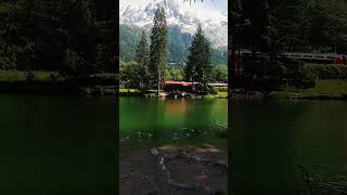 train in Chamonix Mont Blanc french Alps [upl. by Ragde]