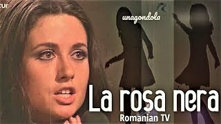 GIGLIOLA CINQUETTI quotLA ROSA NERAquot Cerbul De Aur Special for Romanian TV 1969 ⬇️Testo⬇️Lyrics [upl. by Maxie]