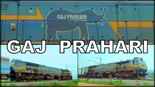 GAJ PRAHARI  Elephant Detection System EDS fitted SGUJ WDP4D 40436  22502 NTSK  SMVT Superfast [upl. by Idolla]