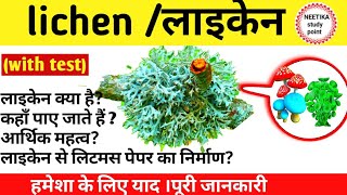 लाइकेन क्या है What Is Iichen In Hindi What Is Lichen In Biology  Economic Importance Of Lichen [upl. by Youngman]