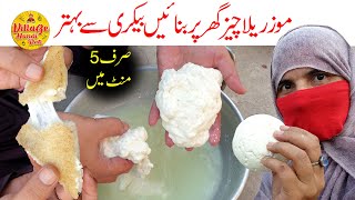 Mozzarella Cheese Recipe  5 Minutes Recipe  Village Handi Roti [upl. by Vasiliki859]