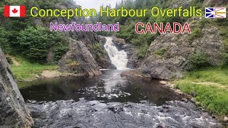 Conception Harbour Overfalls  Newfoundland  CANADA [upl. by Tunnell]