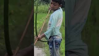 Fishing x animalsfishhooks cat fish shorts catfish sharkfishingvideo fishvideo fishing [upl. by Eerolam]