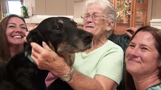 Nursing Home Adopts Runaway Dog Who Escaped Animal Shelter [upl. by Esma]