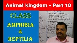 Class Amphibia amp Reptilia  Animal Kingdom  NEET Bio  Part 18 [upl. by Ruiz]