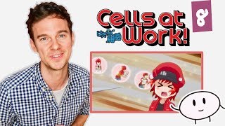 DOCTOR reacts to CELLS AT WORK  Episode 8  quotBlood Circulationquot [upl. by Aitak]