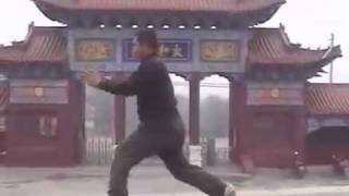 Gao YiSheng BaGua Zhang [upl. by Defant561]