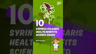 Syringa vulgaris Lilac Health Benefits ScienceBased [upl. by Annauj]