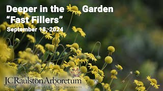 Deeper in the Garden  quotFast Fillersquot [upl. by Jake938]