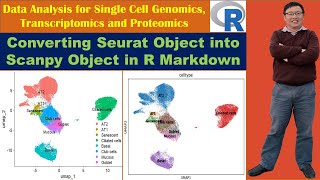 Converting Seurat Object into Scanpy Object in R Markdown [upl. by Romona24]