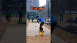 FUN🥰 Batting Drills  cricket practice Batting Drills cricket crickettechnique cricketlovers [upl. by Gaspard]