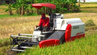 Combine Harvester Kubota DC35 Harvesting Rice on a Large rice field [upl. by Nus161]