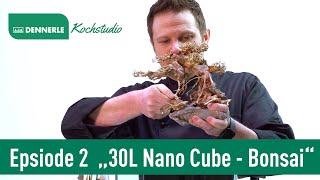 Bonsai Aquascape im 30L Nano Cube  Aquarium nach Rezept Folge 2  Dennerle [upl. by Aicarg]