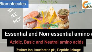 Biomolecules  Proteins  Types of Amino acids  Peptide Linkage  Zwitter ion  Isoelectric pH 🔥💯 [upl. by Inaniel]