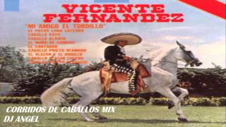 VICENTE FERNANDEZ CORRIDOS DE CABALLOS MIX [upl. by Davin]