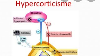 633 MESSAGE IMPORTANT EN CAS DE OBÉSITÉ INFERTILITÉ LE MEILLEUR ANTIRYTHMIQUE AU MONDE CARDIOLOGI [upl. by Jorie]