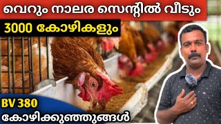 75 രൂപ30 ദിവസം പ്രായമായ കുഞ്ഞുങ്ങൾ🐤മാസം ലക്ഷങ്ങൾ നേടാം💰 [upl. by Anitsirhcairam]