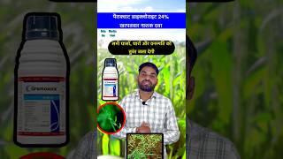 सभी खरपतवारों को जलाने वाली चरामार दवा  Paraquat dichloride 24 sl  shorts herbicide farmer [upl. by Esidarap]