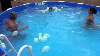 Dog pops balloons in pool [upl. by Neff]