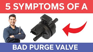 How to diagnose a bad Evap purge solenoid valve P0497 P0441 P0443 P0444 P0446 etc [upl. by Danni160]