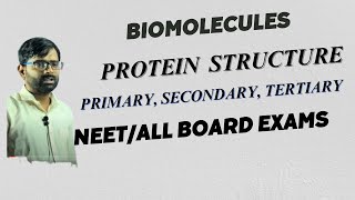 I BIOMOLECULES LECTURE 9 I PROTEIN PRIMARY SECONDARY amp TERTIARY STRUCTURE I 12TH BOARD EXAM [upl. by Nnaarat765]