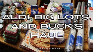 Aldi Big Lots and Bucks Haul [upl. by Lapo]