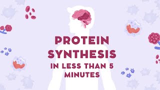 PROTEIN SYNTHESIS TRANSCRIPTION amp TRANSLATION IGCSE Revision  5 minute Biology [upl. by Allmon819]